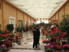 等位区-喜满堂 望喜园·融合菜