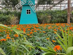 -南宫五洲植物乐园