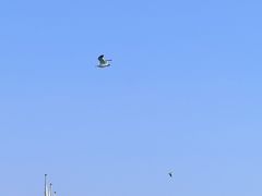 -青岛奥林匹克帆船中心