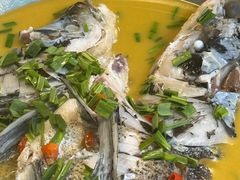 -赋石水库船头鱼红房子饭店