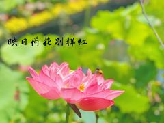 -郭庄景区