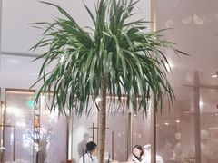-旺顺阁·北京菜·烤鸭(大望路店)