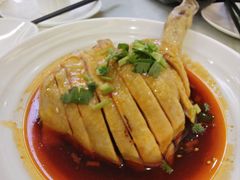 -苏启渔港(云南北路店)