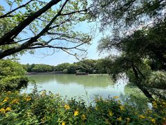 -西溪国家湿地公园