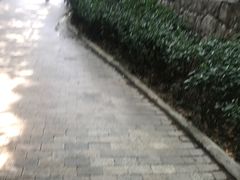 -热带风暴水上乐园(新镇路)