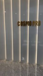 -COSMO PRO造型