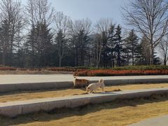 -莱西月湖公园