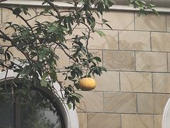 -张江润和国际总部园