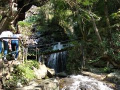 -藏龙百瀑风景区