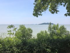-巢湖姥山岛