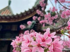 -宝墨园景区