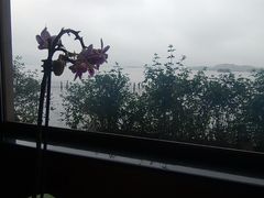 -湖畔居茶楼(湖滨店)