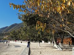 -抚仙湖禄充风景区