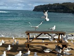 -12 Rocks Beach Bar Cafe