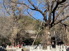 -潭柘寺景区