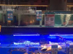 -阿伟海鲜楼·福建菜(延寿店)