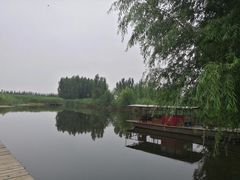 -白洋淀锅里口灶台鱼