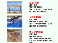 -日照灯塔风景区