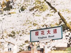 -武汉大学-樱园