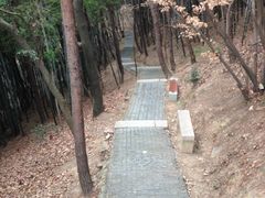 孙武苑路上-穹窿山景区