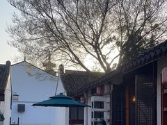 -普洱茶府(博乐广场店)