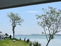 -尚湖风景区