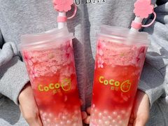 -CoCo都可(崇川万象城店)