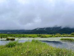 -腾冲北海湿地