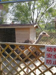 -萌宠亲子动物乐园(槐房万达店)