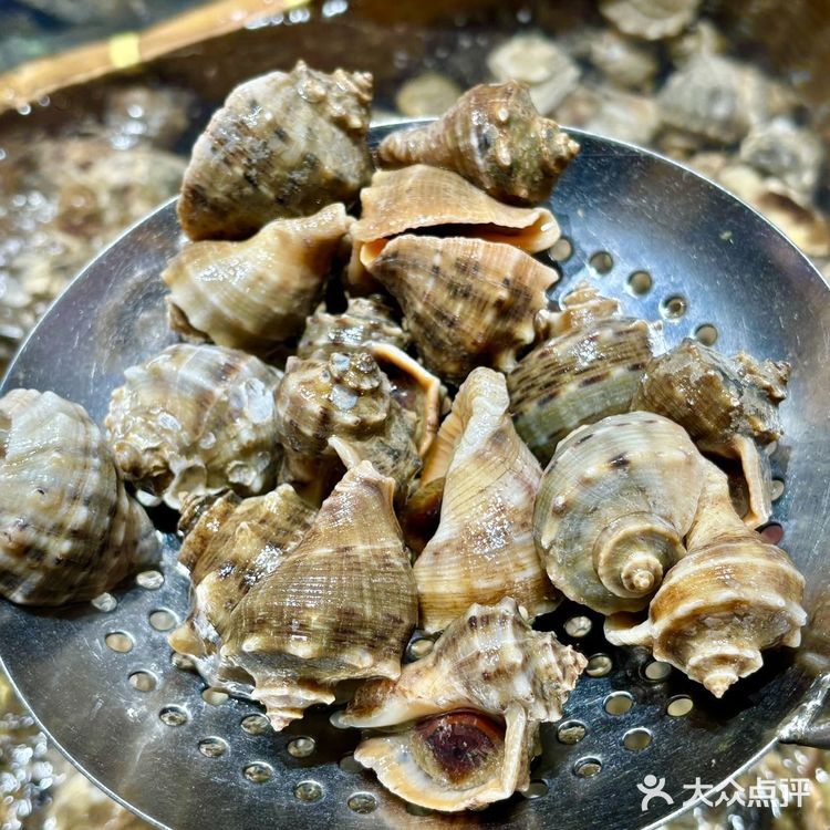 上海！！这家只会来0或者无数次！！