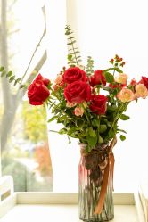 -涌泉妈咪树通乳·产后恢复