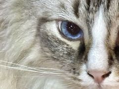 -白兔子密室(长寿路店)