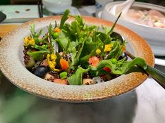 盆栽沙拉-辛香汇·现炒川菜(淮海路百盛店)