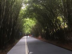 -中国观音故里广德景区