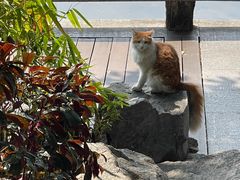 -荔湾湖公园