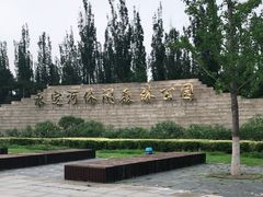 -永定河休闲森林公园