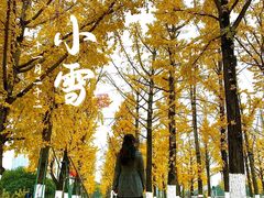 -百林公园-两江幸福广场