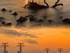 -宝安西湾红树林湿地公园