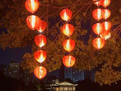 -荔湾湖公园