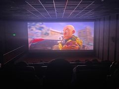 -华美国际影城(旧宫永辉店)