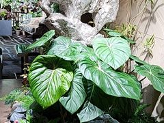 -棕榈岛海鲜自助餐厅(虹桥迎宾馆店)