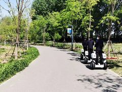 -东郊湿地公园