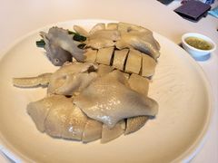 -新兴·金羊座·粤菜点心(乐峰店)