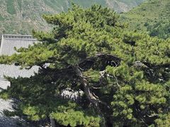 -雁门关景区