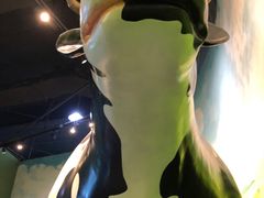 -中国杭州低碳科技馆