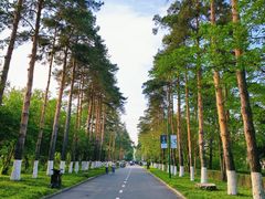 -黑龙江省森林植物园