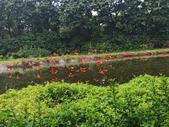 -广州长隆飞鸟乐园