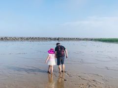 -南汇嘴观海公园