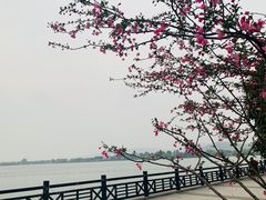 -石湖景区