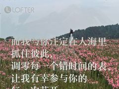 -径山花海